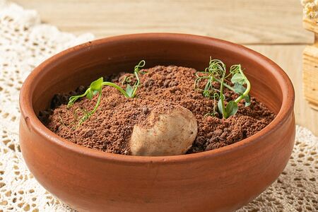 Пирожное картошка