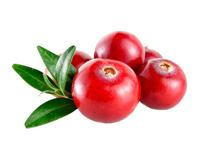 Сироп Брусничный 15 г