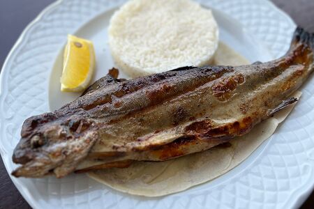 Форель радужная