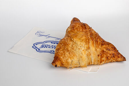 Самса с курицей