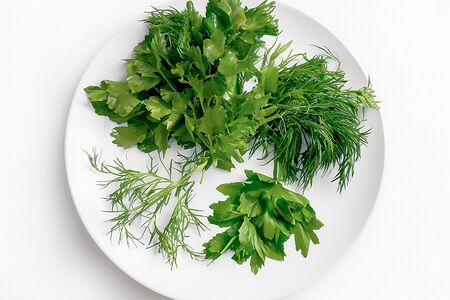 Свежая зелень