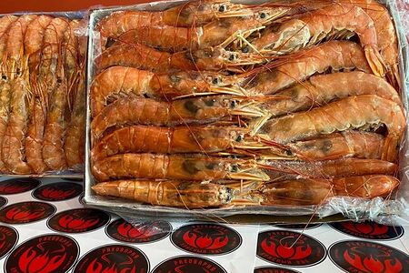 Аргентинская креветка Лангустины L1