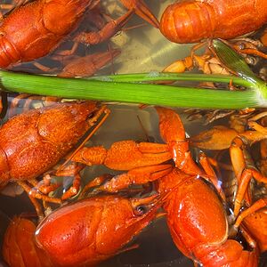 Раки крупные 
