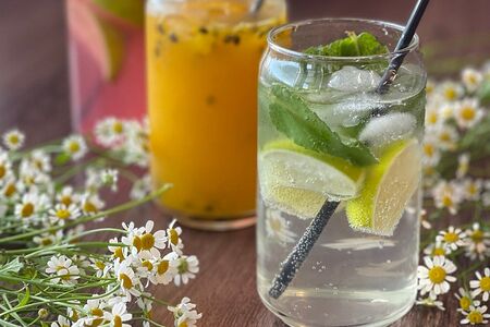 Лимонад Мохито