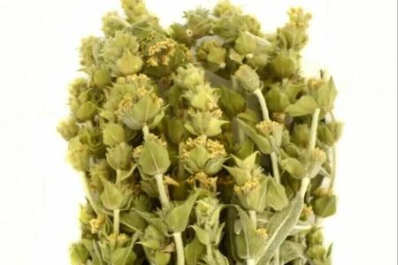 Горный чай греческий