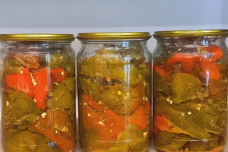 Острый перец Таркинский 