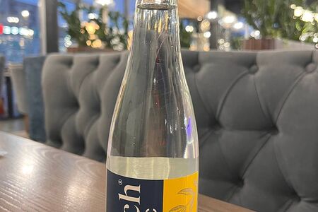 Rich Индиан Тоник 330мл с собой