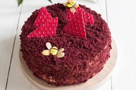 Шокомедовик вишневый