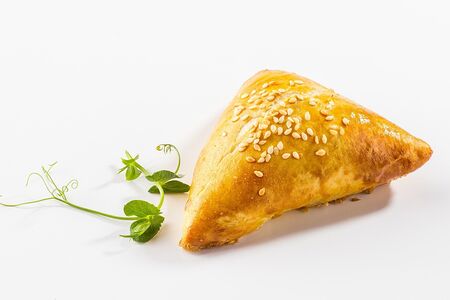 Самса с курицей