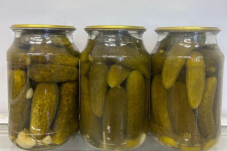 Солёные огурцы домашние 