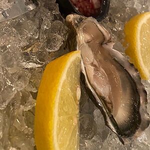 Устрица Джоли