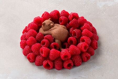 Декор Мишка в малине