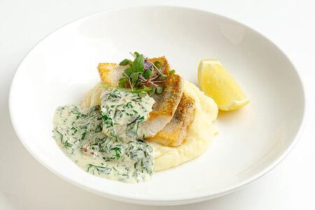 Филе судака