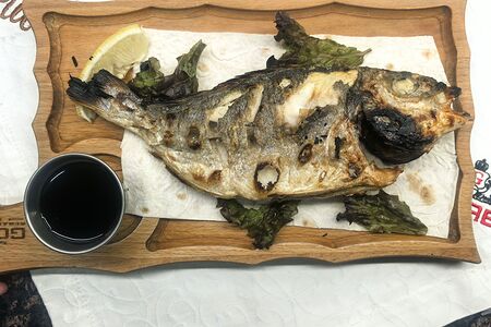 Дорада по-горски