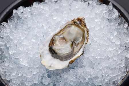 Устрица Касабланка