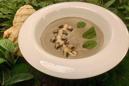Крем суп из белых грибов