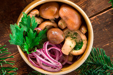 Маринованные грузди