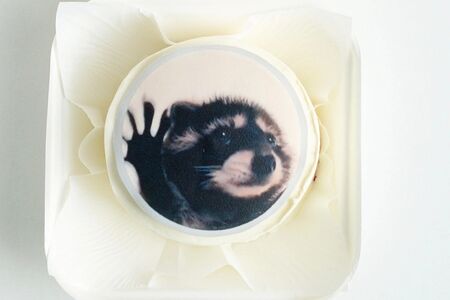 Бенто-торт Енот Педро