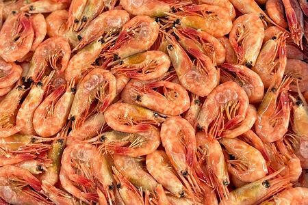 Северные креветки 60/80