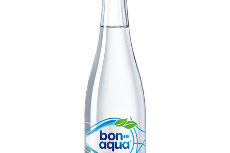 Bon Aqua без газа 0, 33