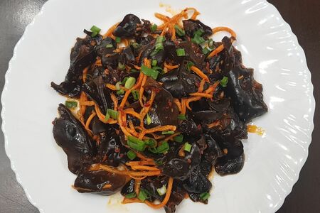 Древесные грибы