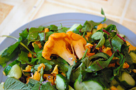 Салат с лисичками