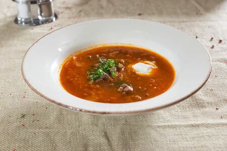 Солянка мясная со сметаной