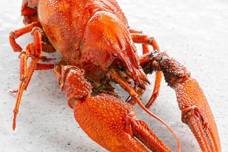 Раки большие