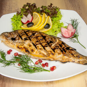 Радужная форель