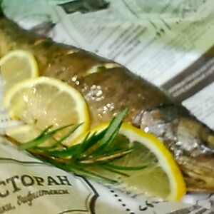 Форель радужная