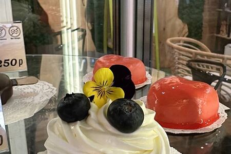 Анна Павлова с голубикой