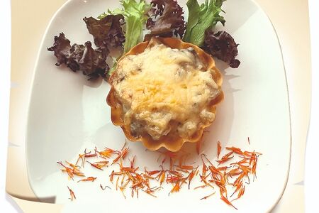 Жюльен грибной