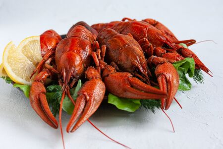 Раки вареные крупные