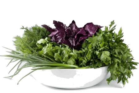 Ассорти из свежей зелени