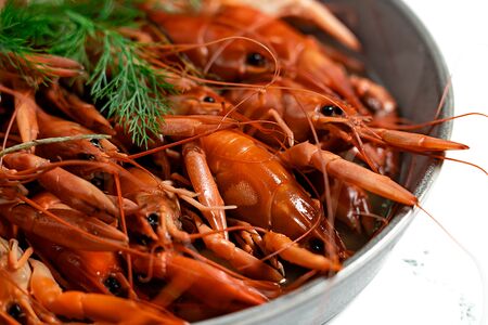 Австралийский рак волжская варка