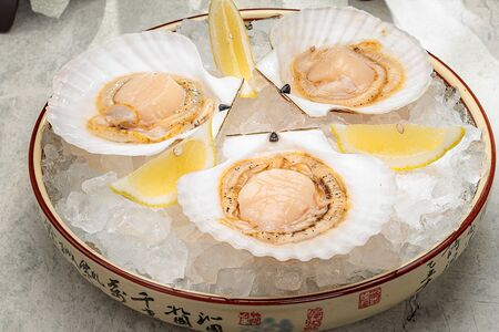 Гребешок живой