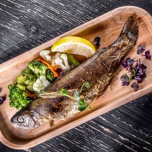 Форель радужная