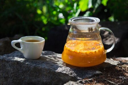 Чай без чая Облепиха & имбирь