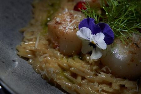 Паста орзо с морским гребешком