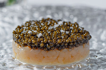 Тартар из гребешка и чёрной икры