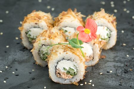 Малый Бонито №56