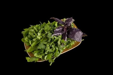 Свежая зелень