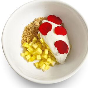 Мусс с сиртаки и печенье с тартаром из ананаса