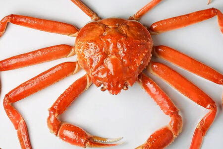 Целый краб опилио на пару