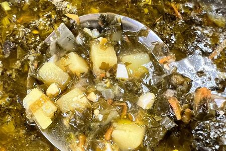 Борщ зеленый