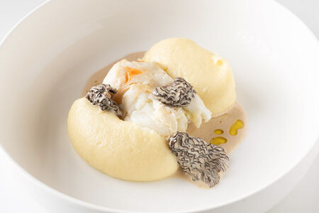 Краб со сморчками и картофельное пюре