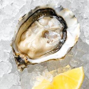 Устрица Касабланка