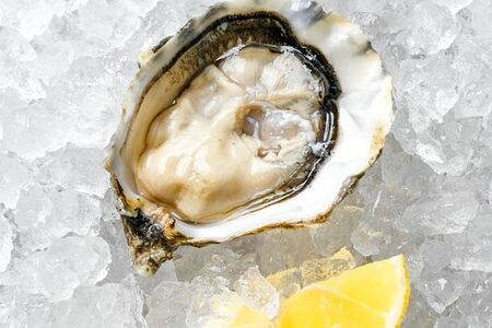 Устрица Касабланка