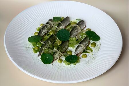 Балтийская килька