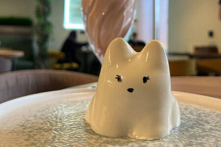 ПП Панакотик